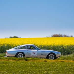 visuel Tour Auto 2017 photo colza